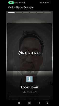 Vivd liveness detection demo